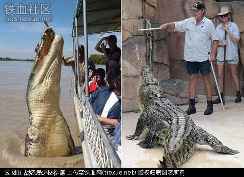 Những công việc nguy hiểm lương cao