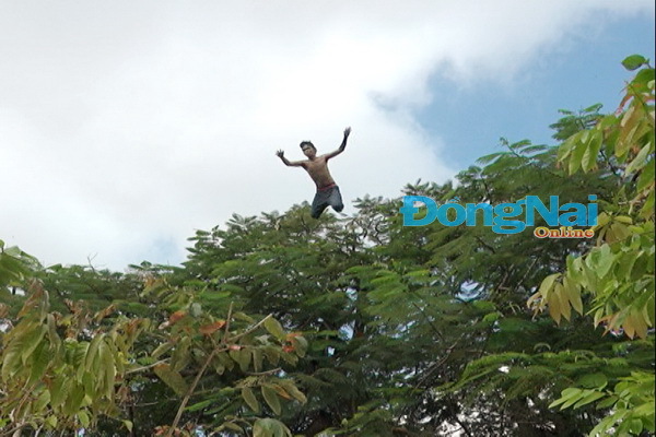 Thanh niên ngáo đá leo lên ngọn cây cao 5m la hét rồi nhảy xuống đất