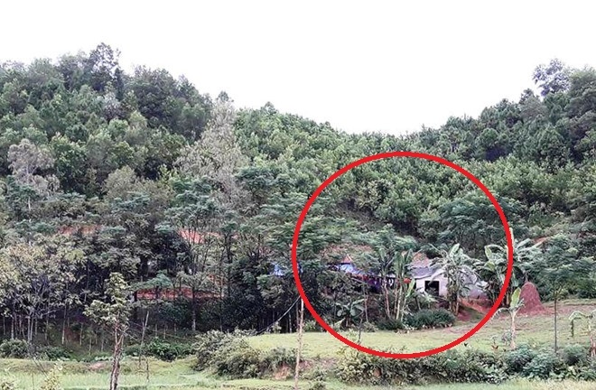 Hai bố con ngủ trên giường bị sét đánh tử vong