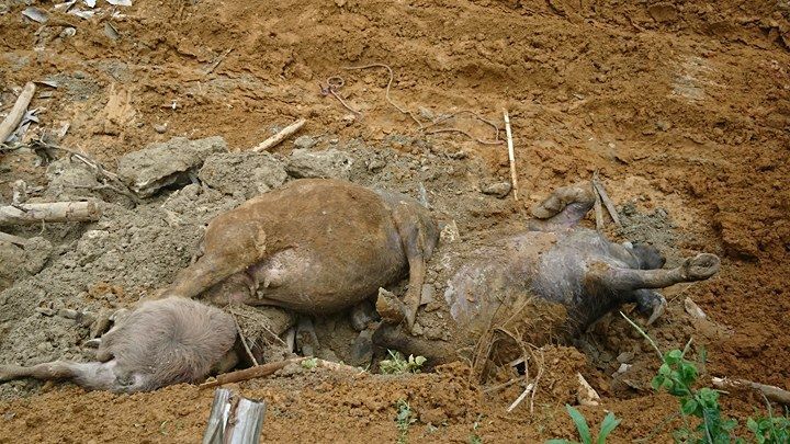 Hiện trường vụ 19 người bị chôn vùi khi đang ngủ ở Hòa Bình