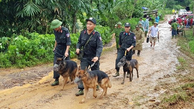 Huy động chó nghiệp vụ tìm kiếm các nạn nhân bị vùi lấp ở Hòa Bình
