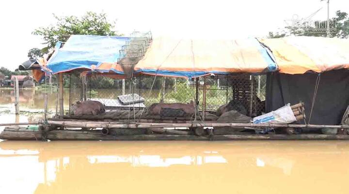 Sạt lở đê ở Chương Mỹ: 