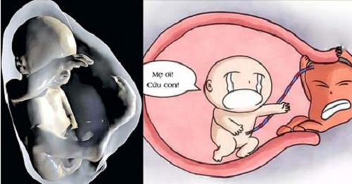 Xuất hiện các dấu hiệu này, mẹ bầu cần kiểm tra ngay vì thai nhi đang không ổn