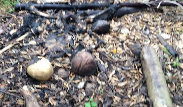 Người đàn ông cháy trơ xương trong vườn chanh ở miền Tây