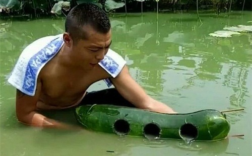 Người đàn ông thu món hời lớn khi khoét 3 cái lỗ trên quả bí đao rồi thả xuống nước