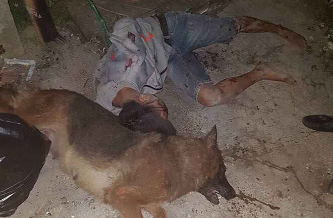 Đi trộm chó, nam thanh niên bị dân đánh, treo cổ vào cột điện