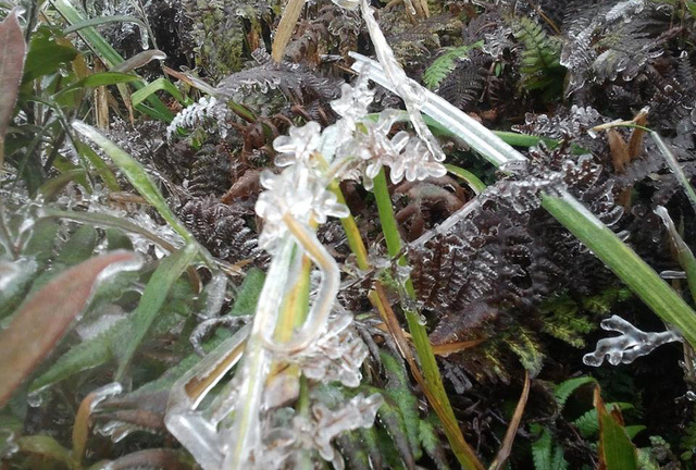 Xuất hiện băng giá ở Fansipan