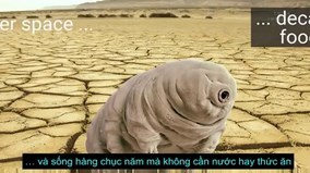 Giải mã bí ẩn về loài sinh vật gần như là bất tử