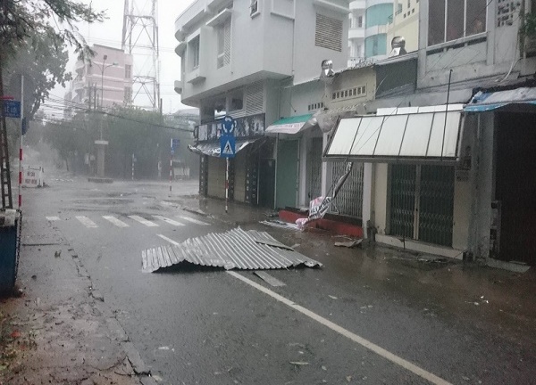 Bão số 12 đổ bộ đất liền, cây cối đổ ngã, nhà cửa tan hoang