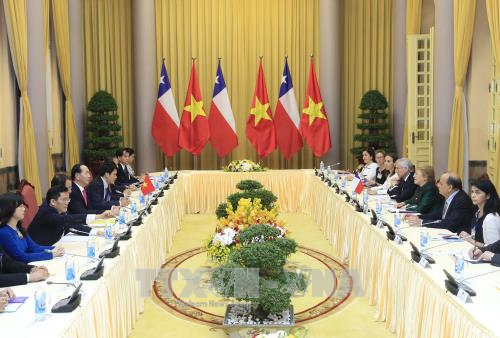 Chủ tịch nước Trần Đại Quang hội đàm với Tổng thống Chile Michelle Bachelet
