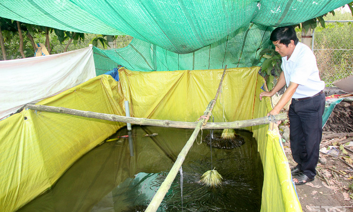 Kiếm tiền triệu nhờ mô hình 