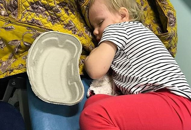 Cha mẹ chủ quan, bé gái bị mèo cào suýt tử vong