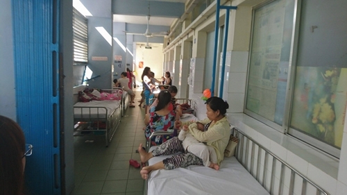 TP. HCM: Hai bệnh nhi sốt cao, thiếu máu vì sốt rét nhập viện cấp cứu