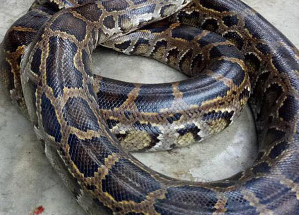 Tin tức thời sự 24h mới nhất ngày 22/11/2017