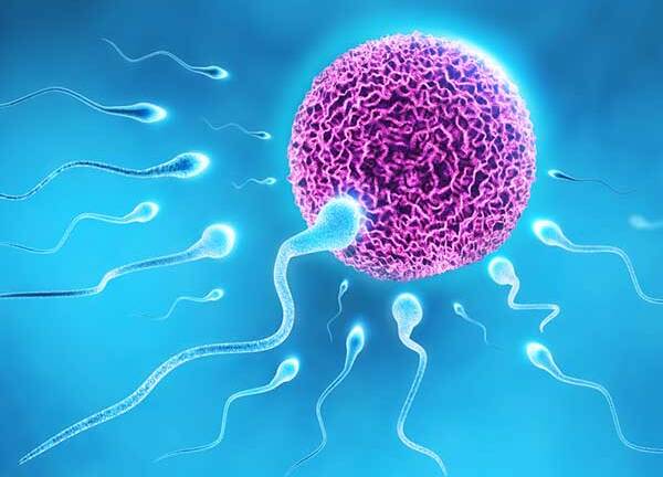 Nguyên nhân khiến khả năng sinh sản quý ông bị yếu, khắc phục cách nào?