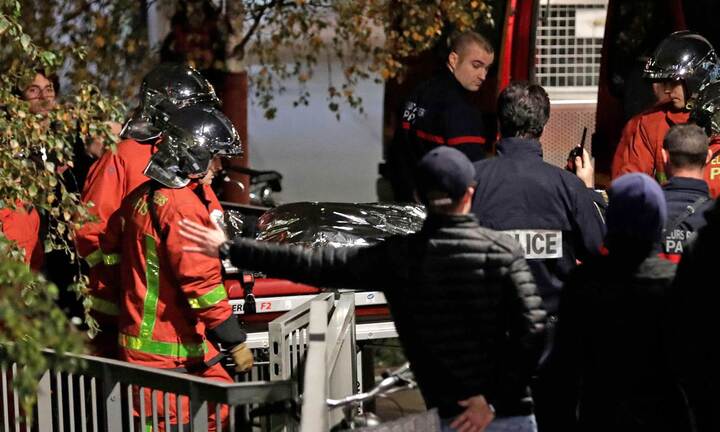 Hổ dữ 2 tạ xổng chuồng trên phố Paris, người dân hoảng loạn