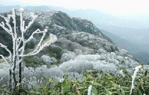 Tin tức thời sự 24h mới nhất ngày 25/11/2017