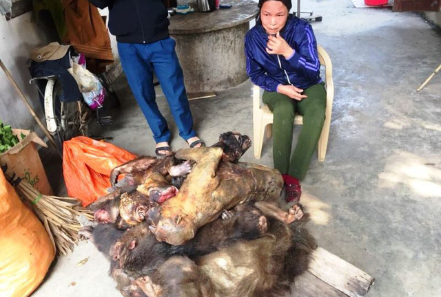 Bắt quả tang người phụ nữ đưa 7 con khỉ đã chết đi tiêu thụ