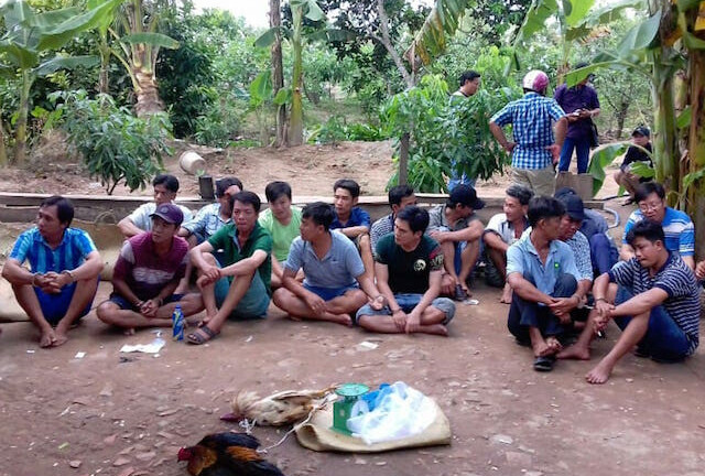 Cảnh sát đột kích, triệt phá hàng loạt tụ điểm đá gà ở miền Tây