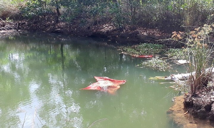 Phát hiện cô gái trẻ tử vong dưới hồ nước ở Thanh Hóa