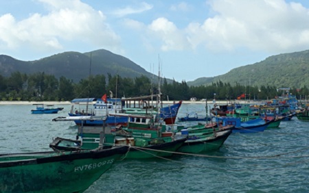 Bão số 16 sắp đổ bộ, Bà Rịa Vũng Tàu - Cà Mau khẩn trương đối phó