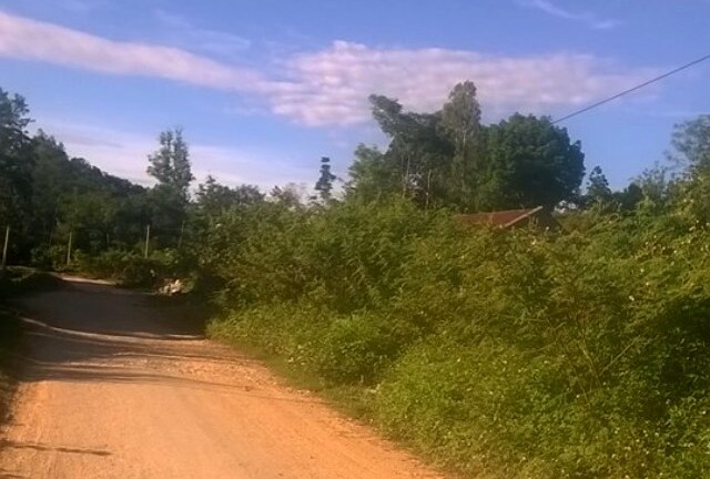 Vụ hãm hiếp thiếu nữ 17 tuổi: Mọi người bất ngờ khi nghi can bị bắt