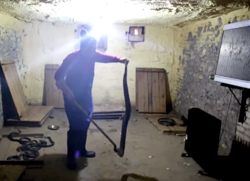 Tò mò xem người phụ nữ chăm hơn 1.000 con rắn