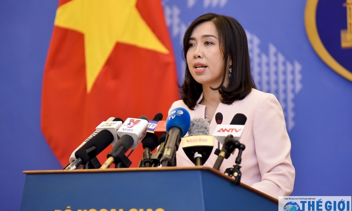 Việt Nam sẽ bảo vệ quyền lợi của công dân bị bắt giữ tại Singapore