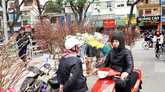 Người Hà Nội nườm nượp xuống phố mua đào, quất về chơi Tết Mậu Tuất