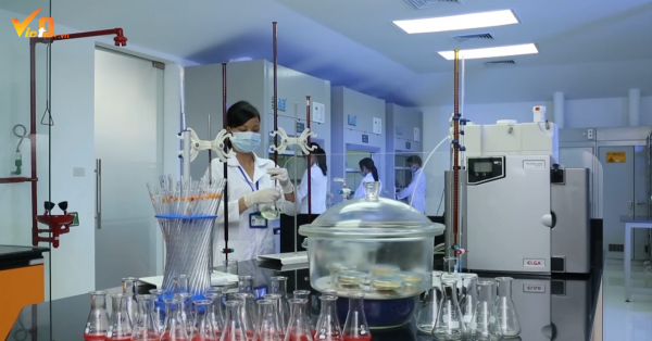 Tăng cường kết nối DN FDI và DN nội thúc đẩy tăng năng suất