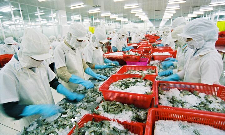Saudi Arabia tạm dừng nhập khẩu thủy sản Việt Nam