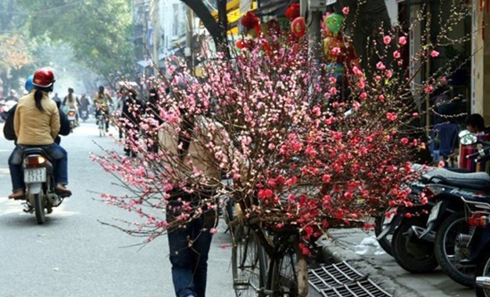 Dự báo thời tiết ngày 9/2: Miền Bắc tăng nhiệt trước khi đón không khí lạnh