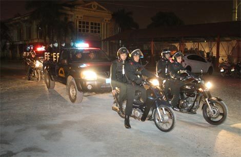 Những người canh gác mùa Xuân