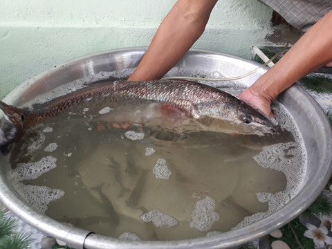 Ngư dân câu được cá 