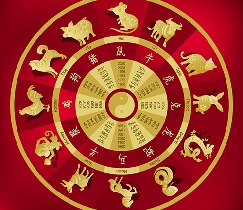 Bạn trông mong gì ở năm Mậu Tuất trong những ngày đầu năm mới?