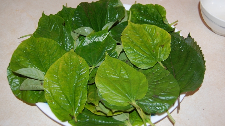 Các bài thuốc dân gian chữa đau xương khớp cực hiệu quả