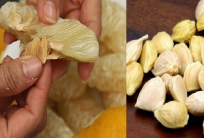 Sự thật hạt bưởi có chữa khỏi viêm loét dạ dày, tá tràng hay không?