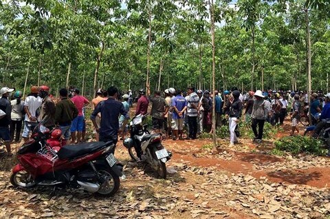 Điều tra vụ 2 cha con bị sát hại thương tâm khi vào rừng lấy mật ong