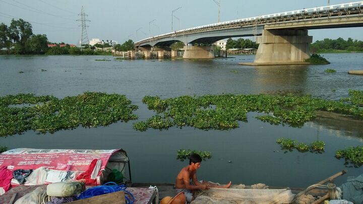 Nam thanh niên nhảy cầu tự tử rồi... tự bơi vào bờ