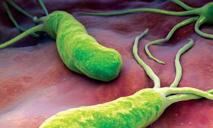 Sự thật cần biết về xuất huyết hang vị dạ dày