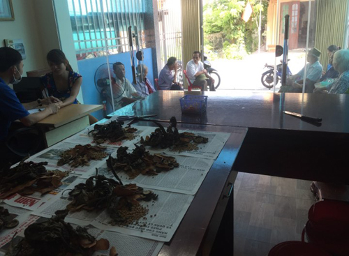 Bài thuốc “đánh bay” sỏi của lương y Bùi Tiến Chung