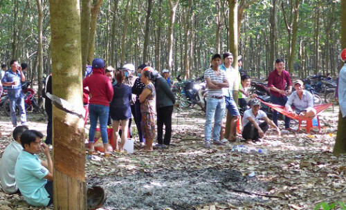 Tình tiết rợn người vụ bé gái 4 tuổi bị cưỡng bức, ném xuống giếng