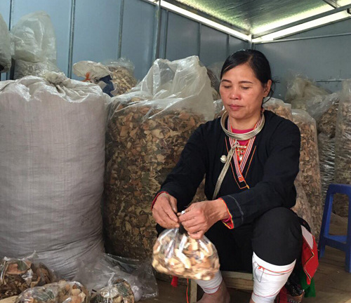 Bài thuốc bí truyền 5 đời chữa bệnh xương khớp, thoái hóa cột sống, đốt sống của lương y nức tiếng Hà Thành