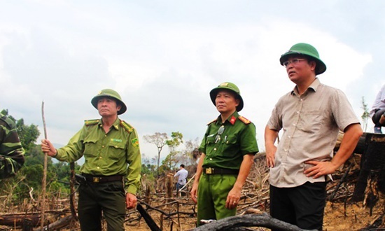Quảng Nam: Lãnh đạo, cán bộ kiểm lâm bị kỷ luật, cách chức vì để xảy ra phá rừng
