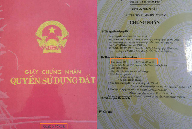 Khởi tố thiếu phụ lừa đảo chiếm đoạt hàng chục tỷ đồng bằng sổ đỏ giả
