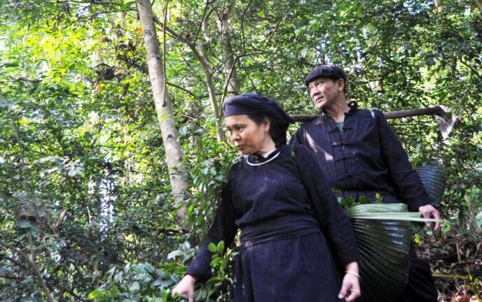 Mãnh lực Trường xuân - Hành trình nghiên cứu và phát triển giải pháp cải thiện chức năng sinh lý phái mạnh