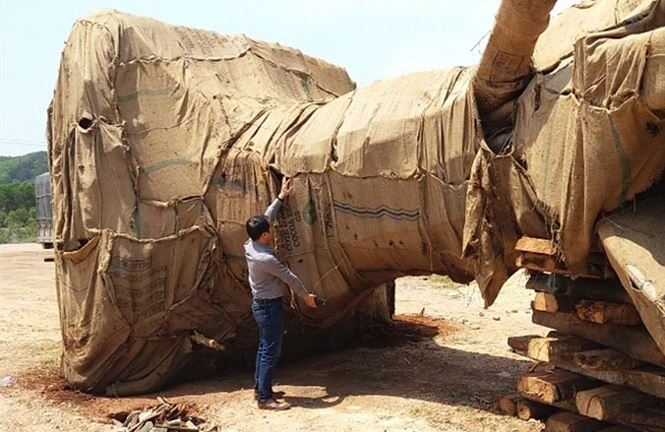 Người sở hữu 3 cây