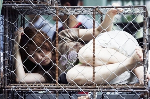 Bố nhốt con đẻ trong chuồng sắt chật hẹp suốt 26 năm