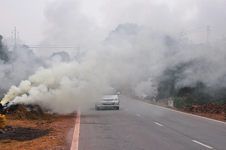 Đề nghị ngăn chặn hành vi đốt rơm rạ làm ảnh hưởng tới an toàn giao thông