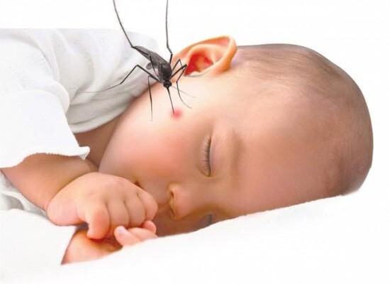 Cách nhận biết sốt xuất huyết sớm ở trẻ